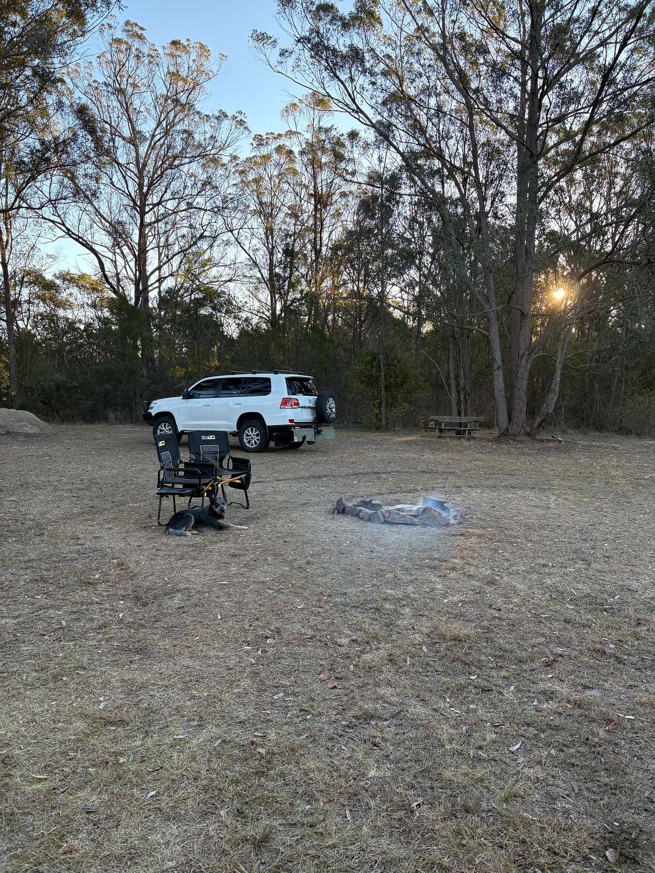 Picture of the site