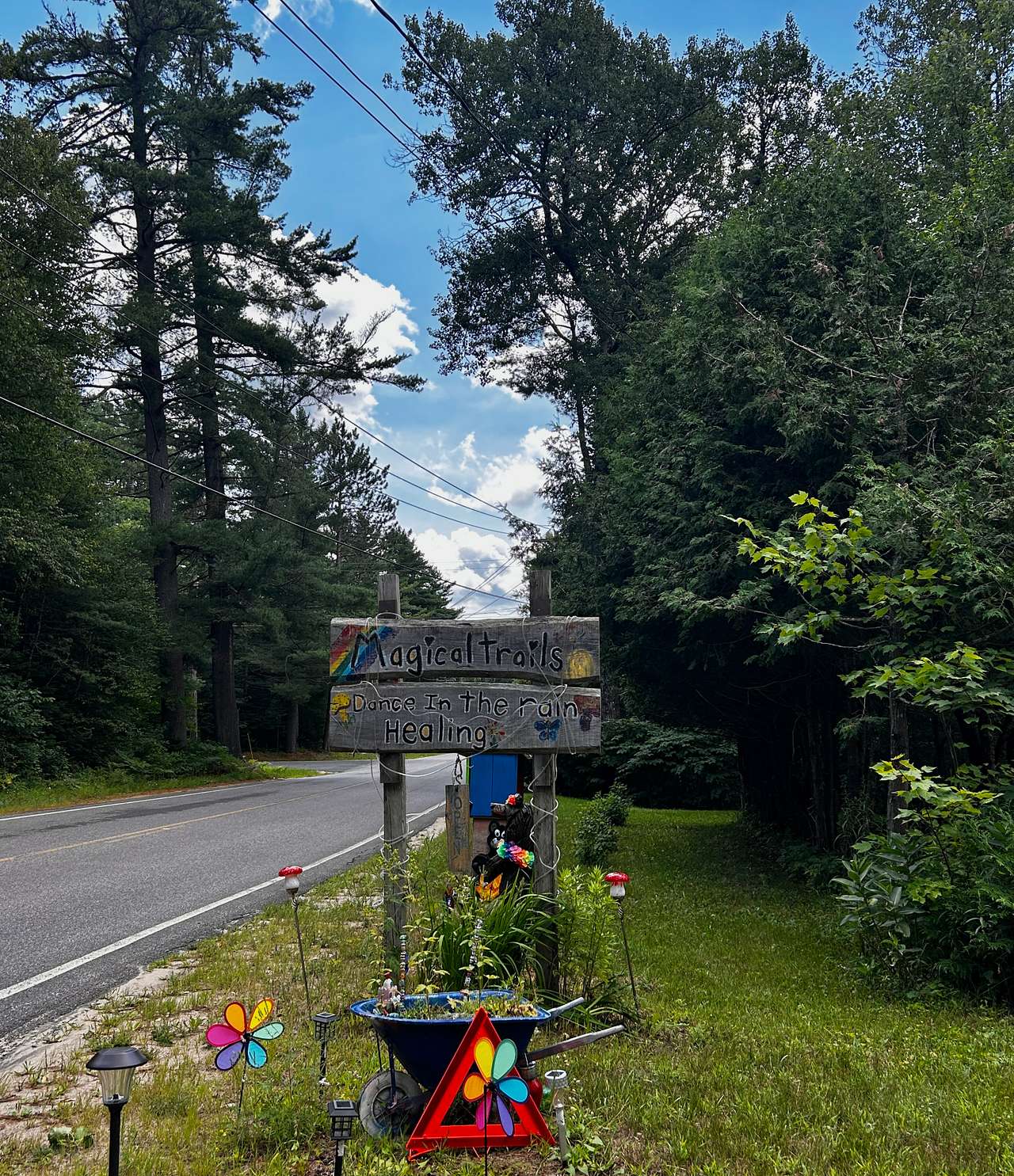 Picture of the site