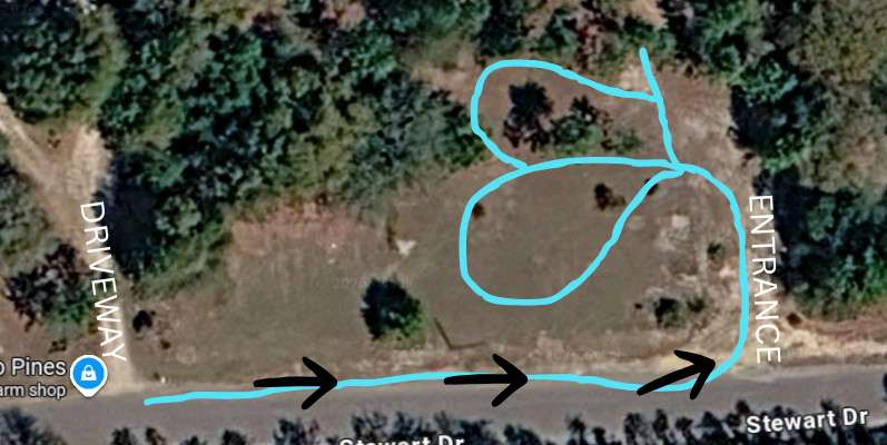 Picture of the site