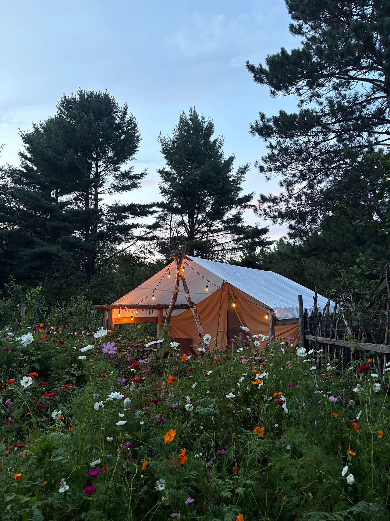 Stoney Moose BnB