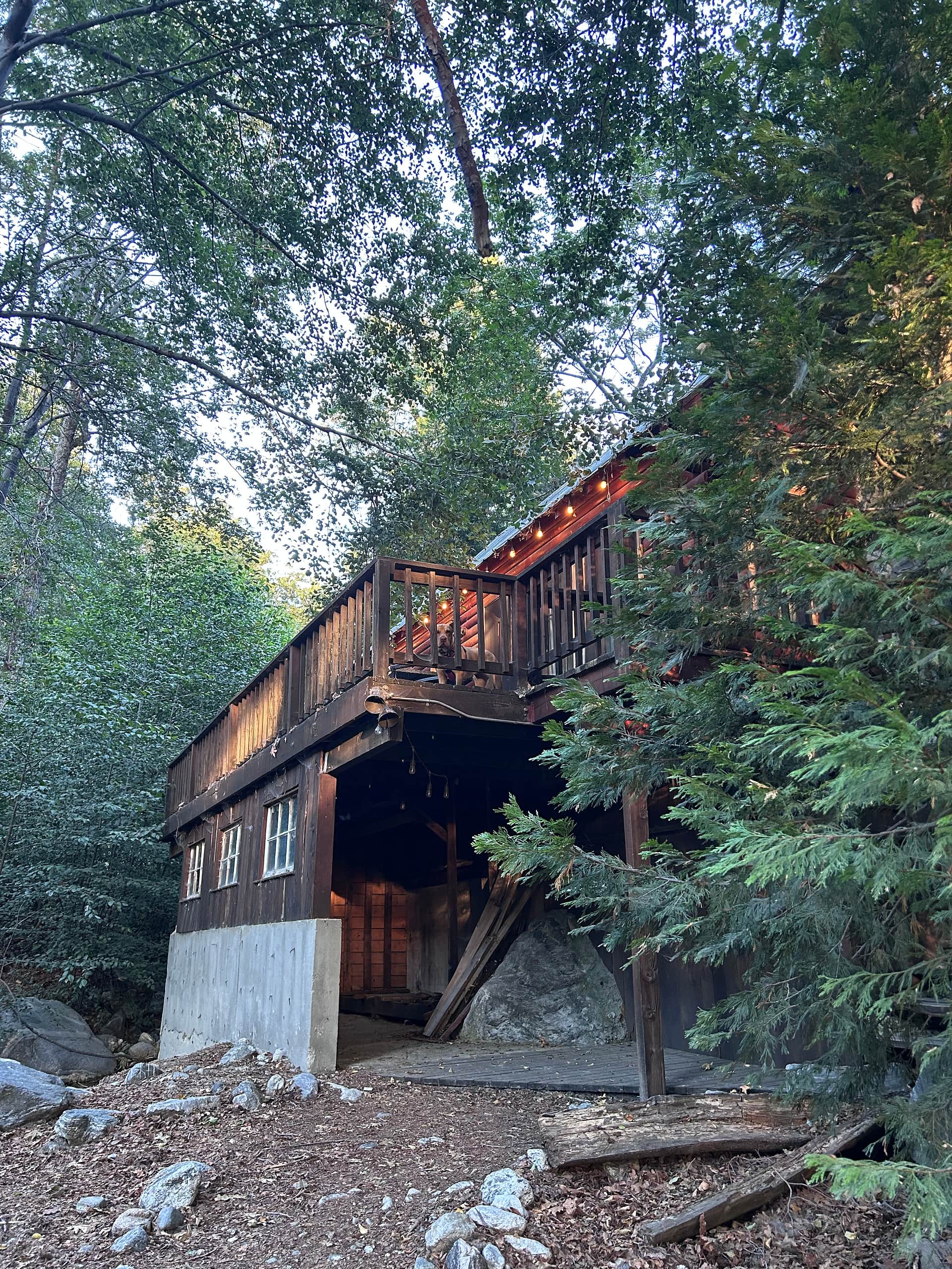 Creekside Vintage Cabins w/hot tubs