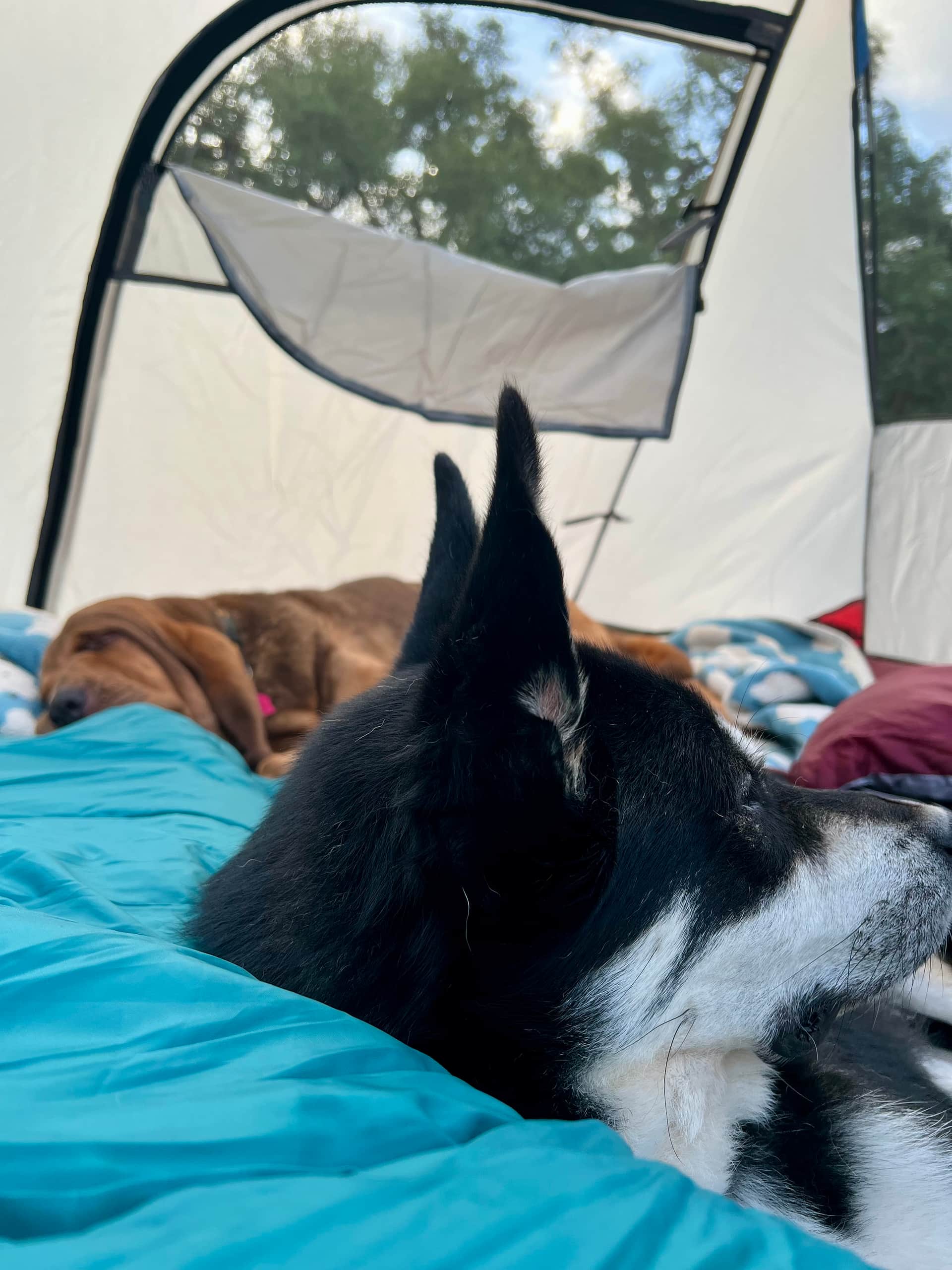 Wimberley Valley Camping