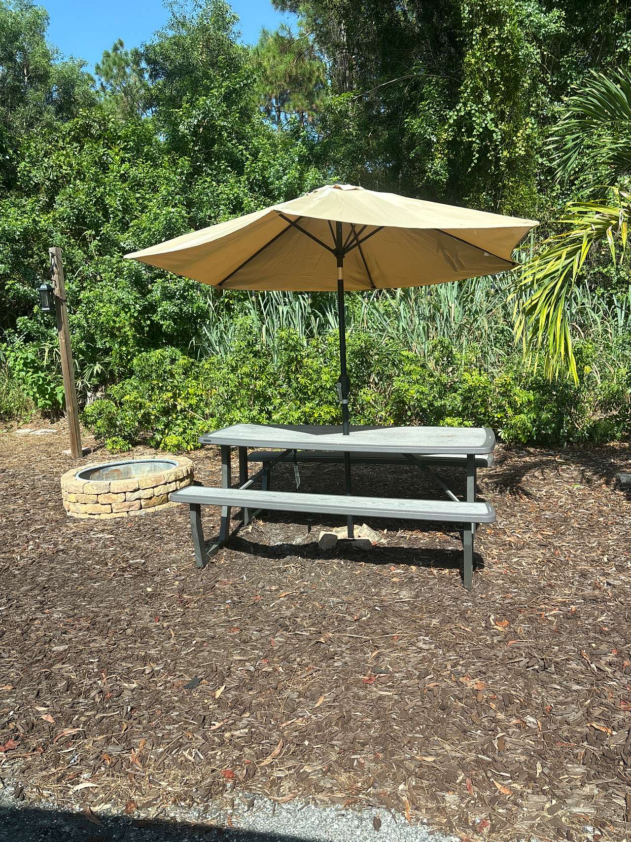 Picnic table and fire ring!