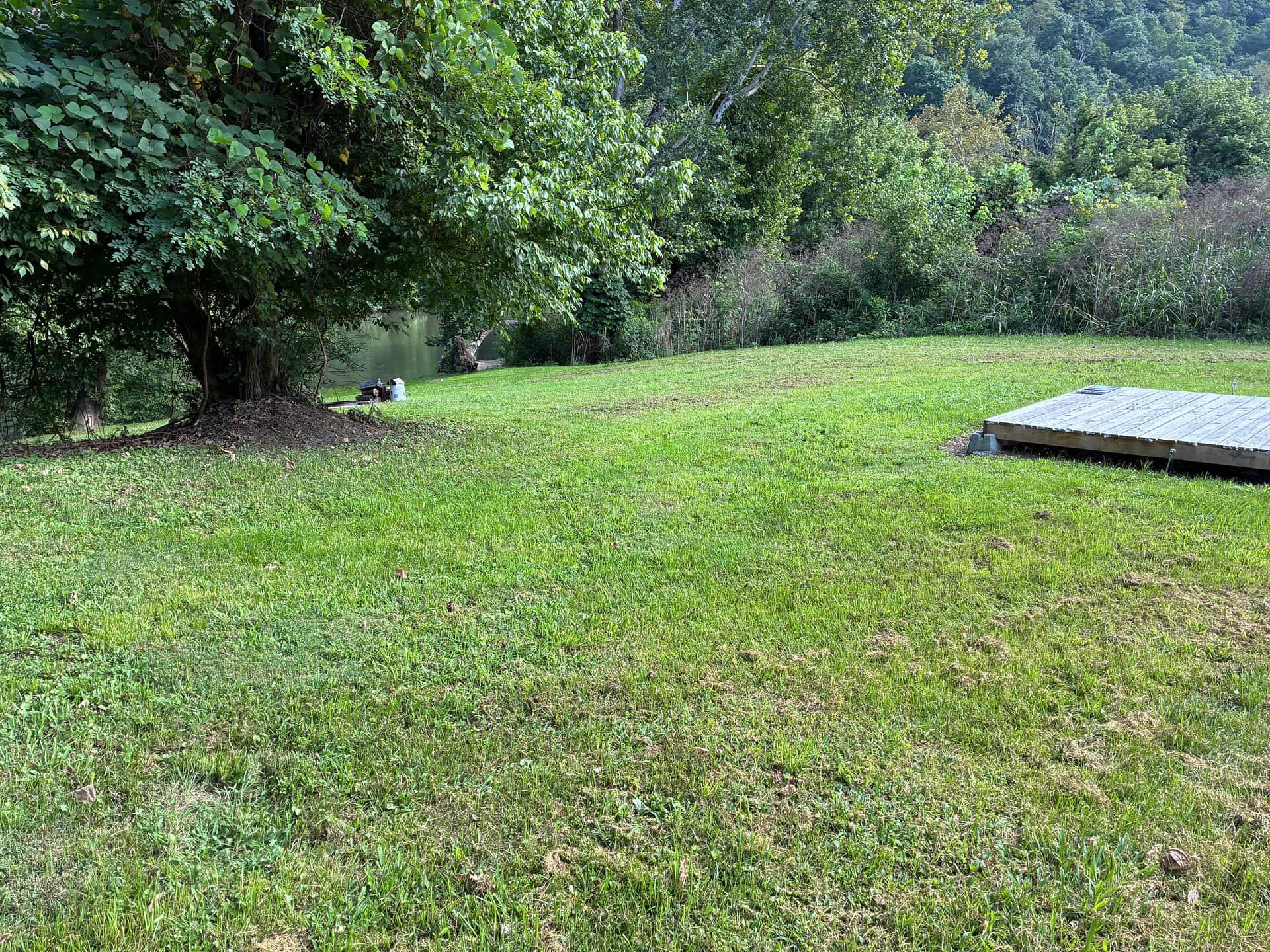 Clinch River Camping And Fishing