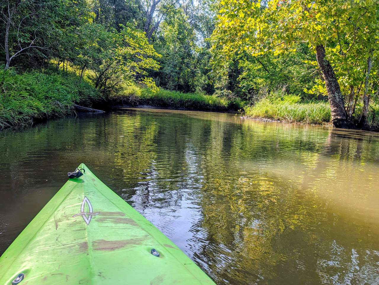 Cove into creek