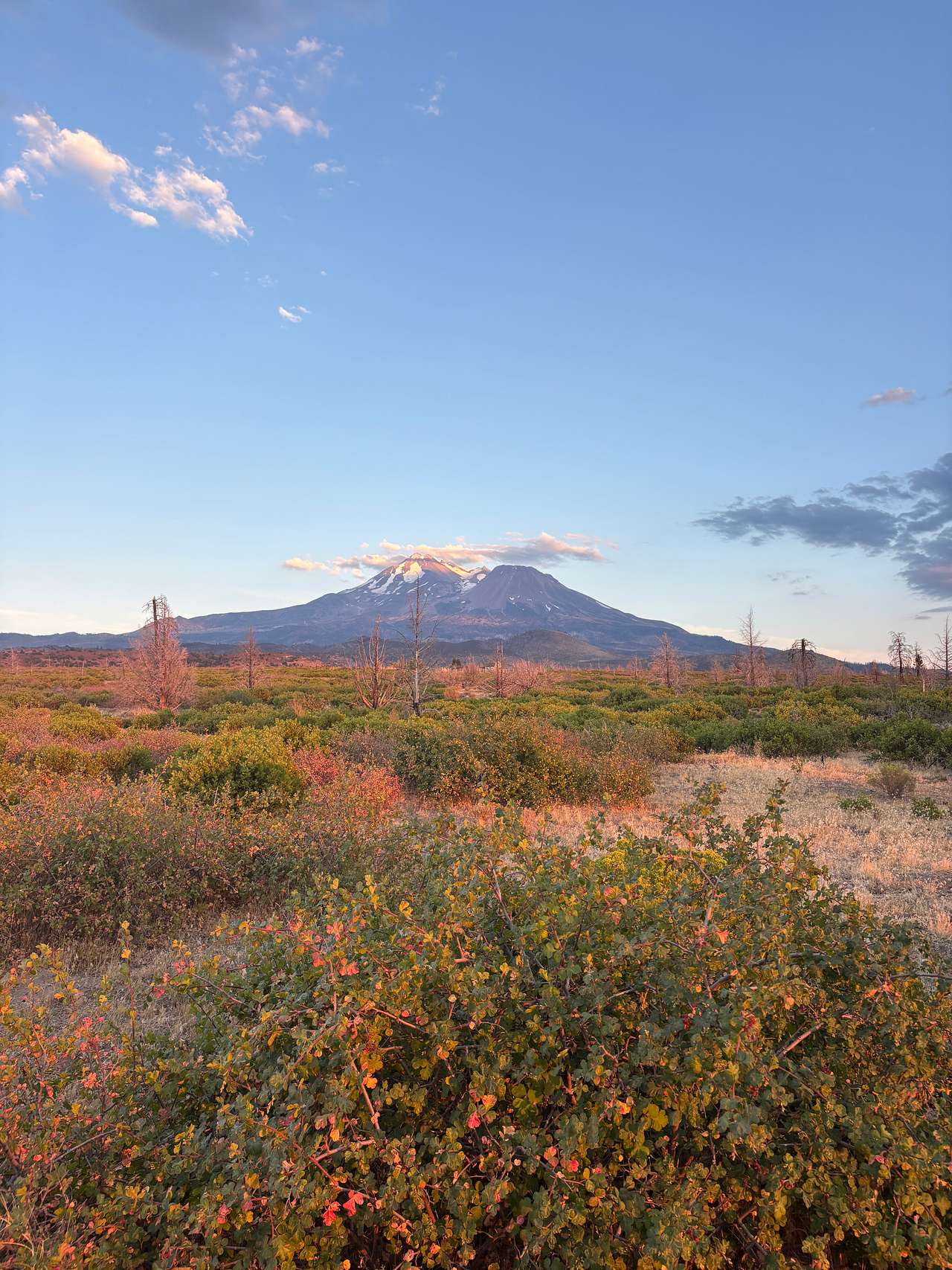 Juniper Valley Campsites