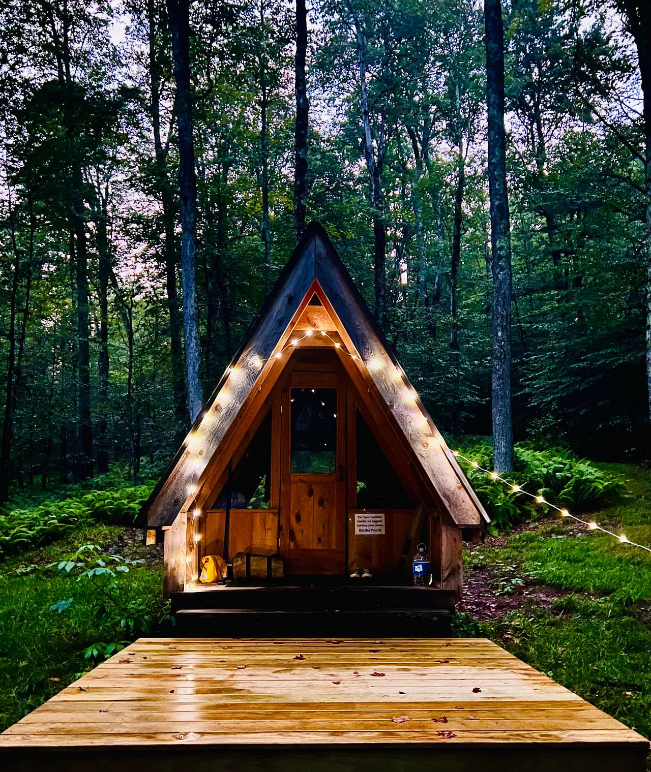 Burr Oaks Forest secluded campsites