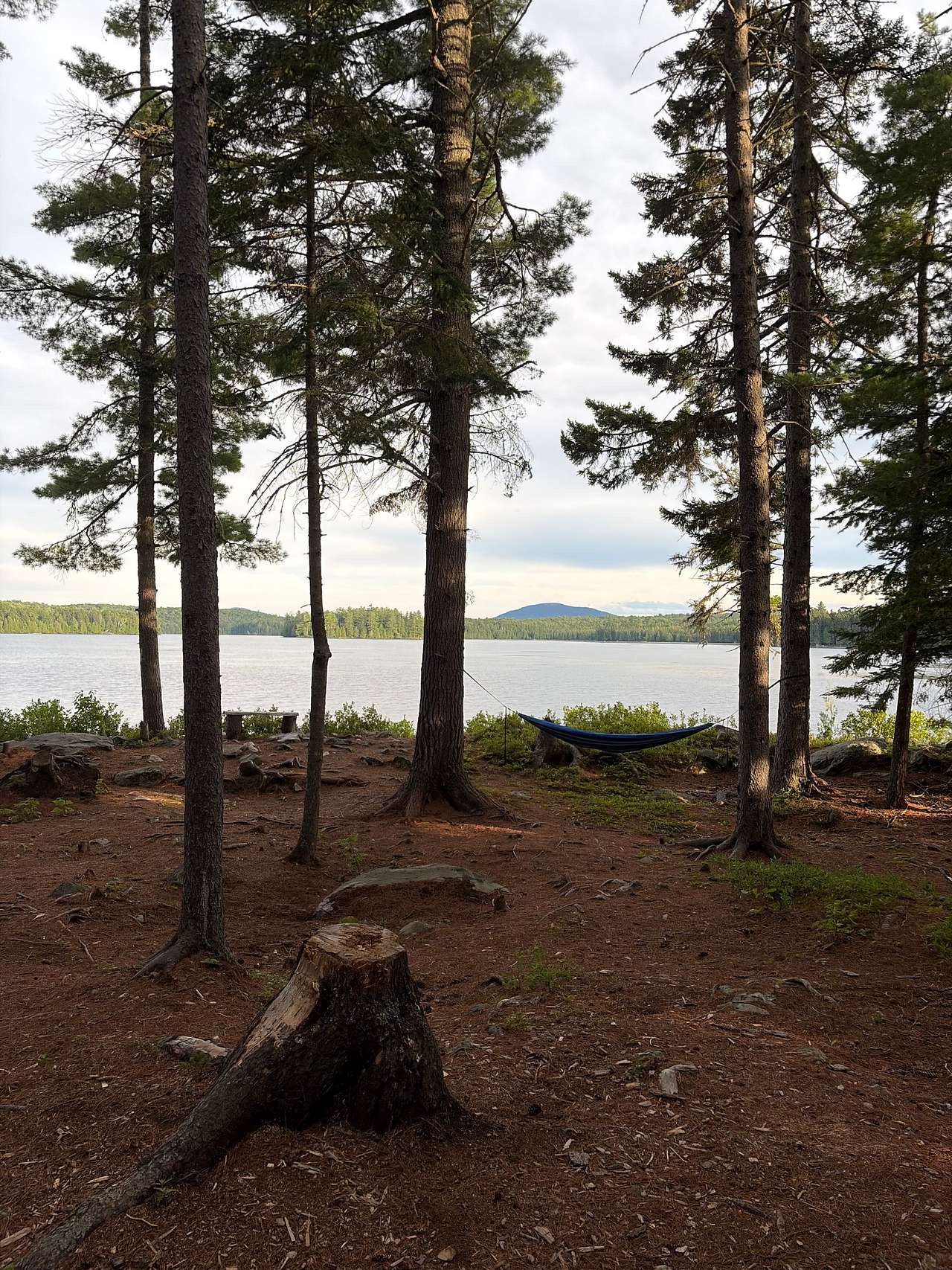Evergreen Conservation Area
