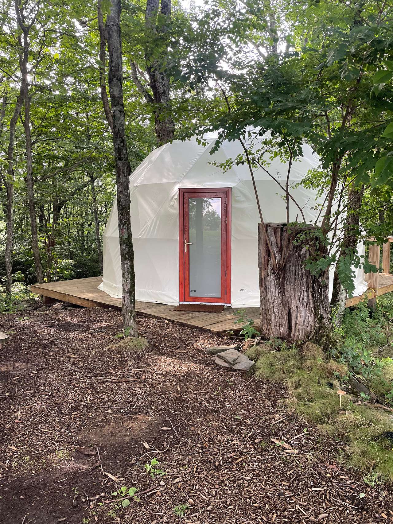 Blue Bear Mountain Camp
