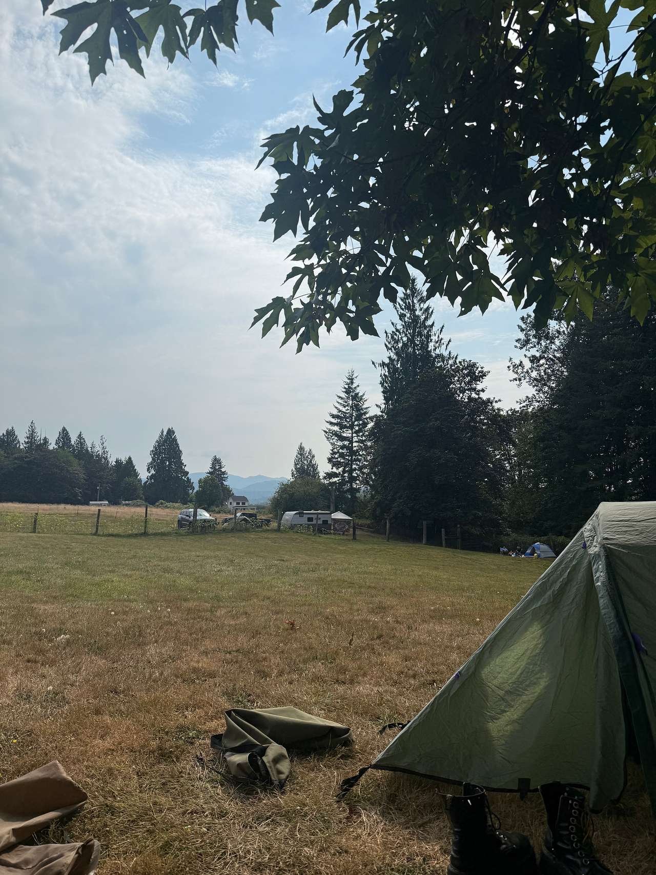 Picture of the site