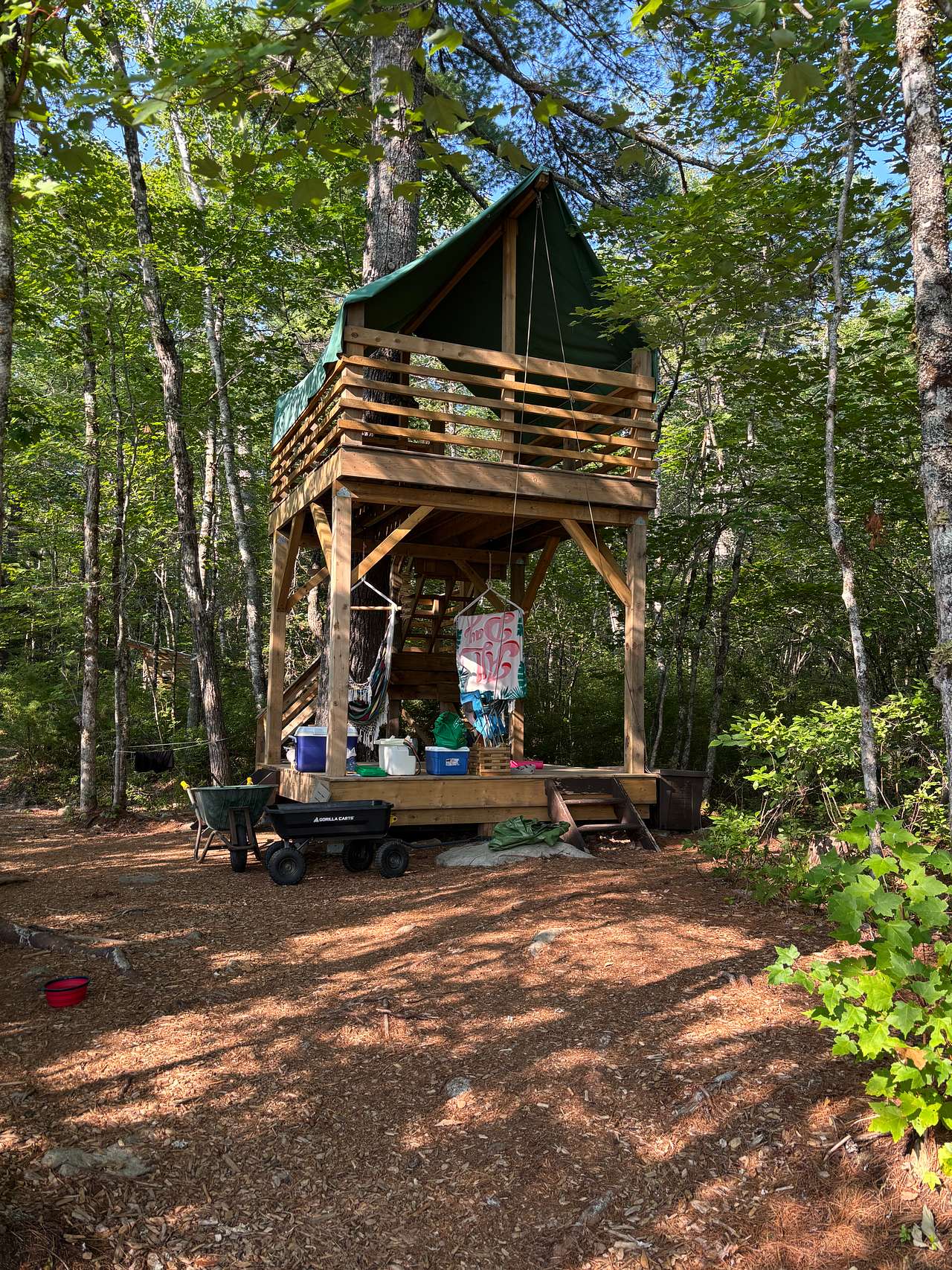 The Perch