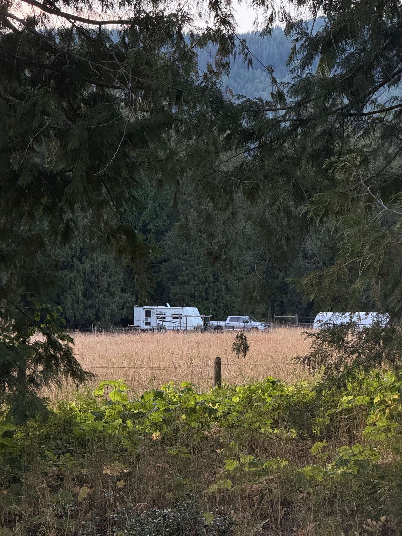 Olich Creek Farm