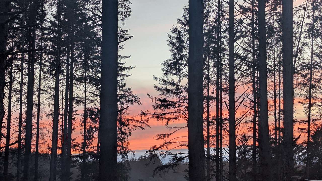 View from Site 40