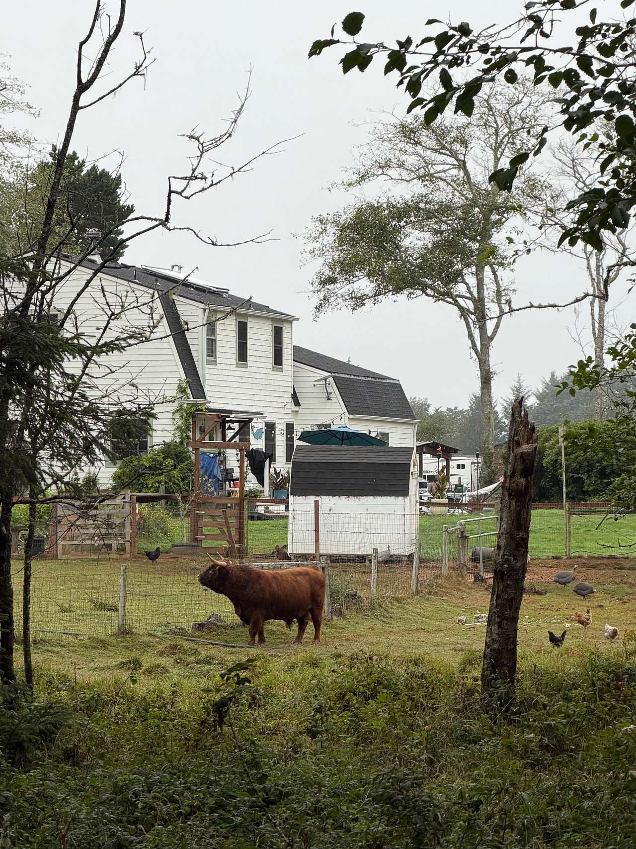 Coastal Forest Farm Camp