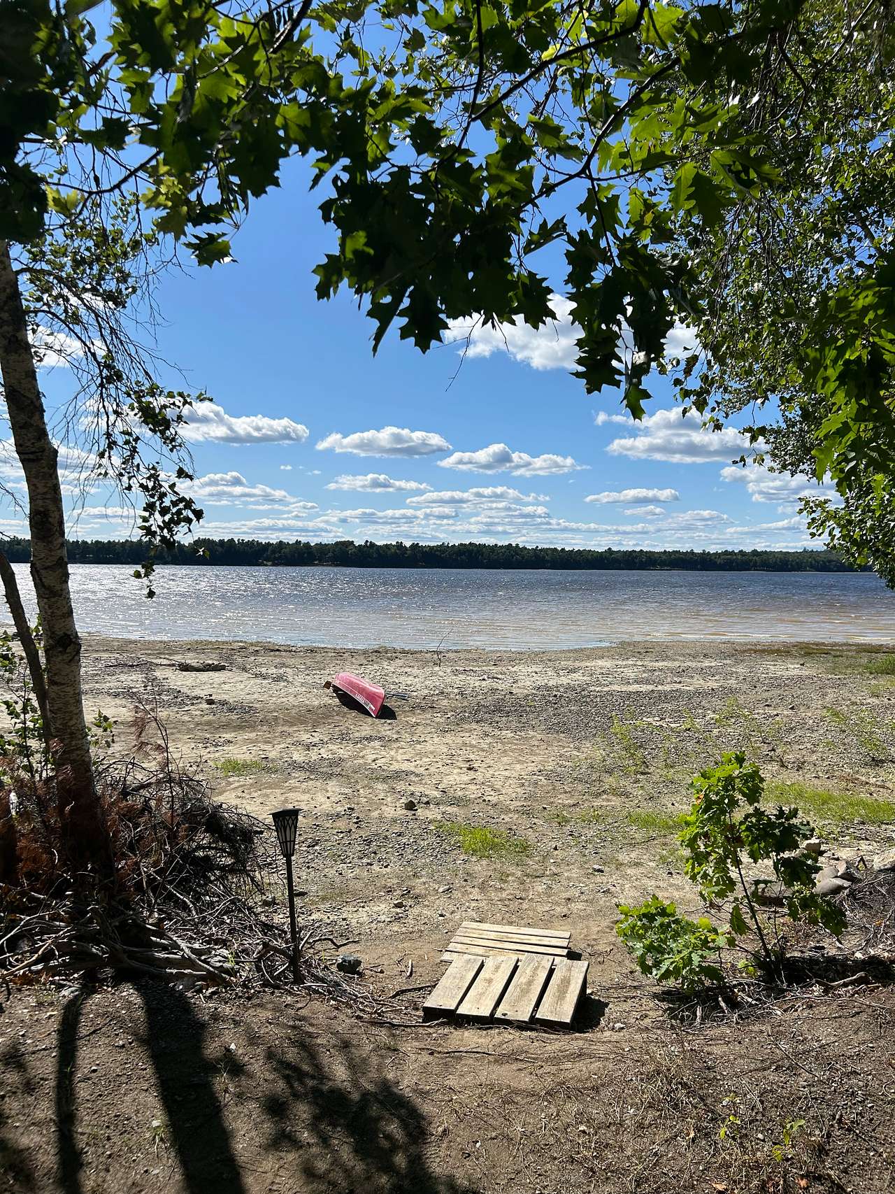 paddle board and boats available