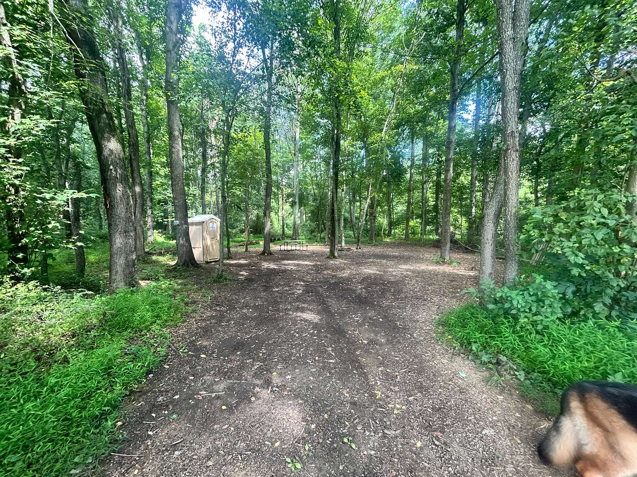 Picture of the site