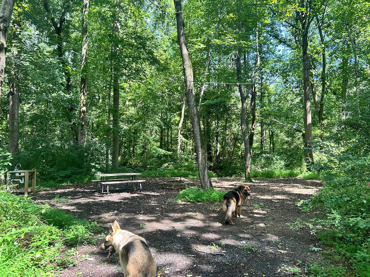 HUNTER'S PARK BY WASHINGTON, DC