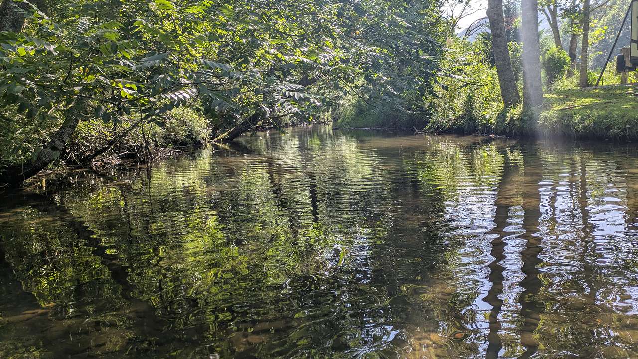 Sitting in the middle of the creek