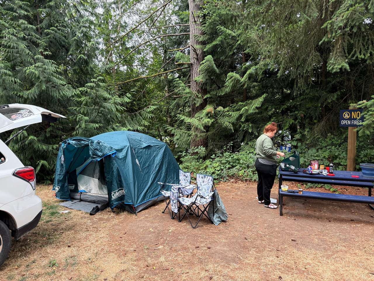 Picture of the site