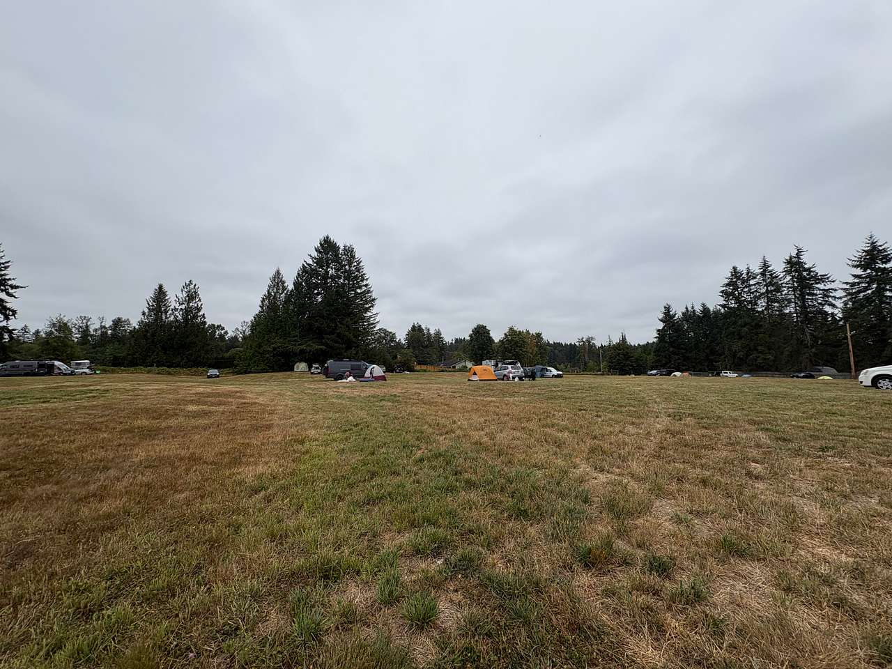 Honeysuckle Hollow
