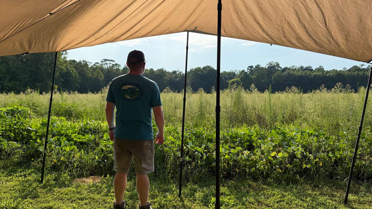 View of field from under the tarp 