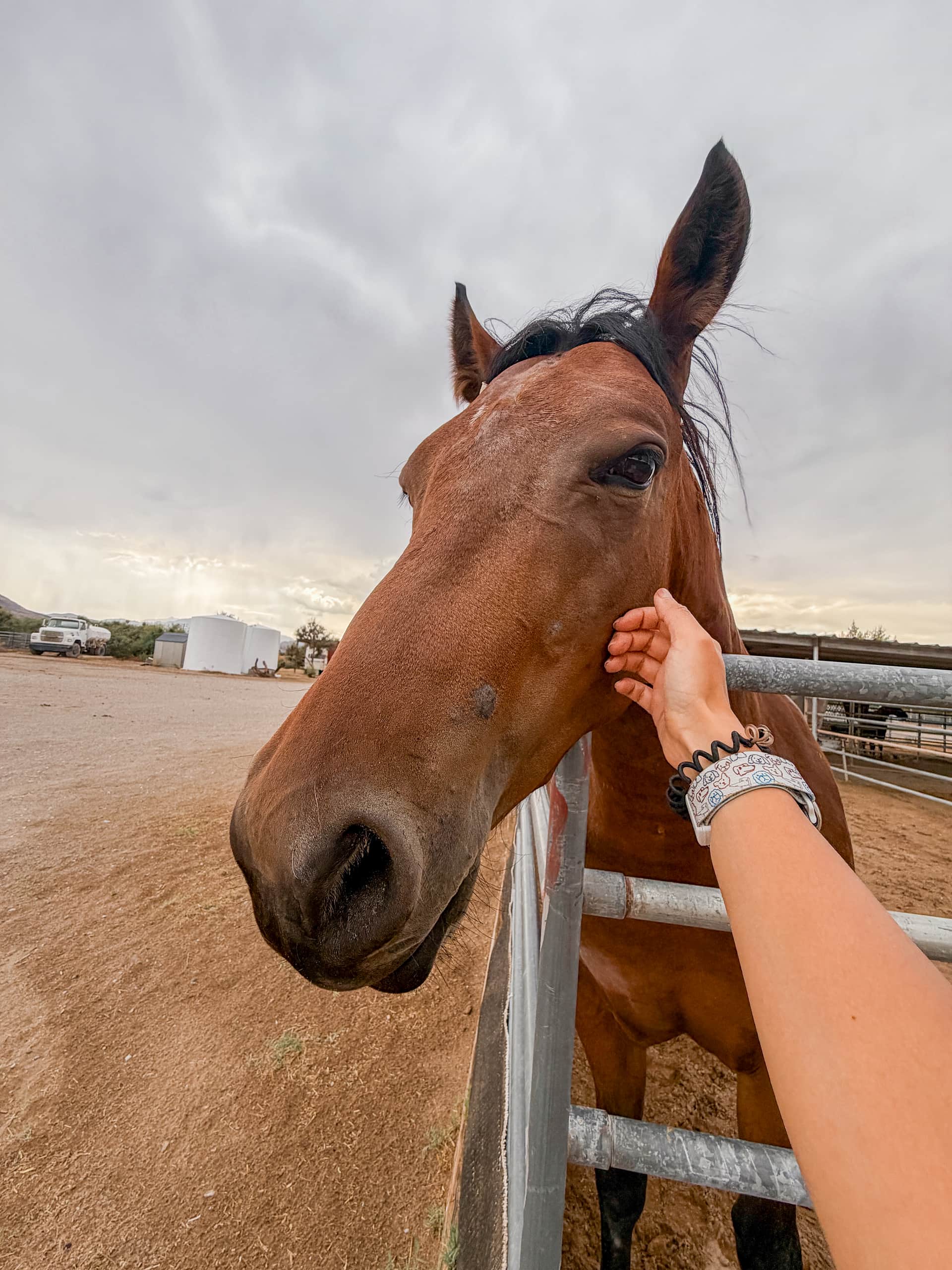 Mojave Desert Ranch