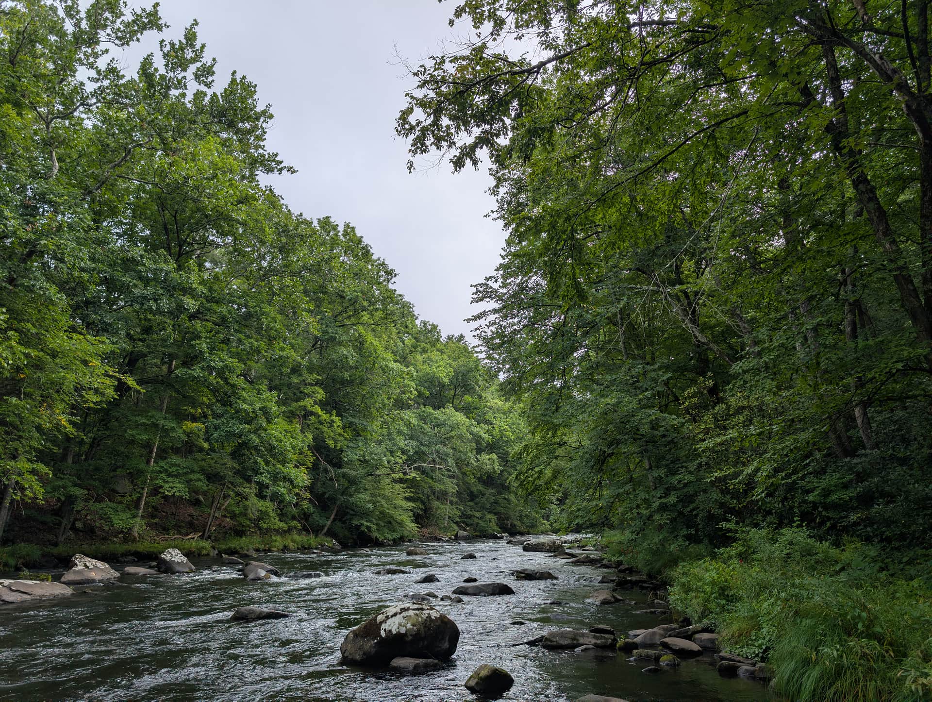 Mongaup River.