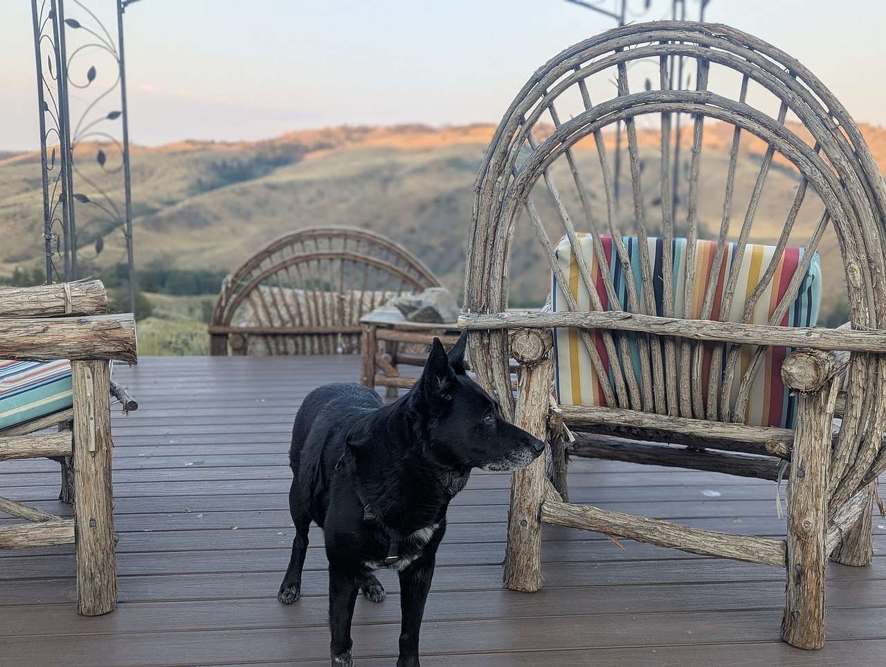 Little Cabin with a view