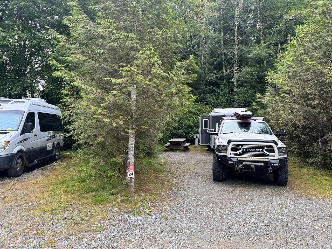 Picture of the site