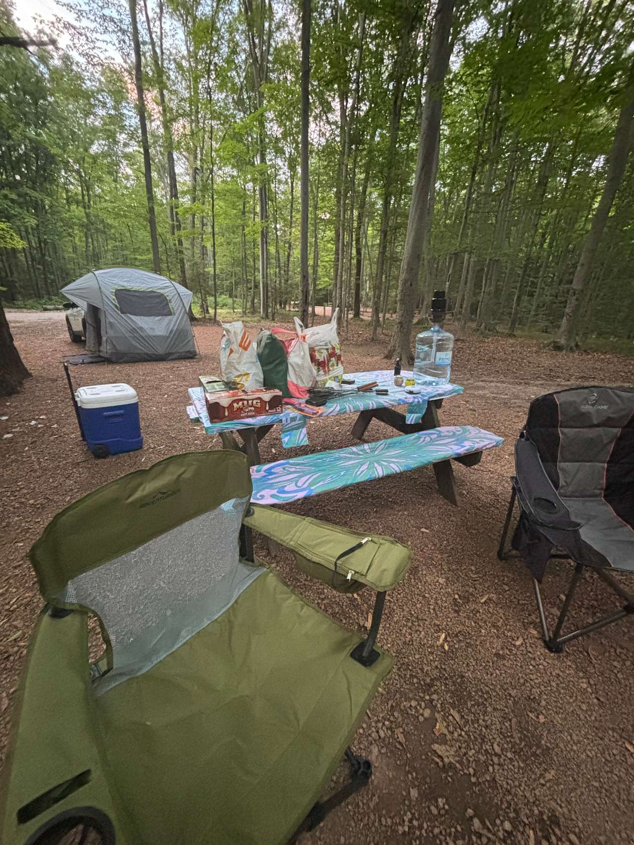 Very spacious sites!