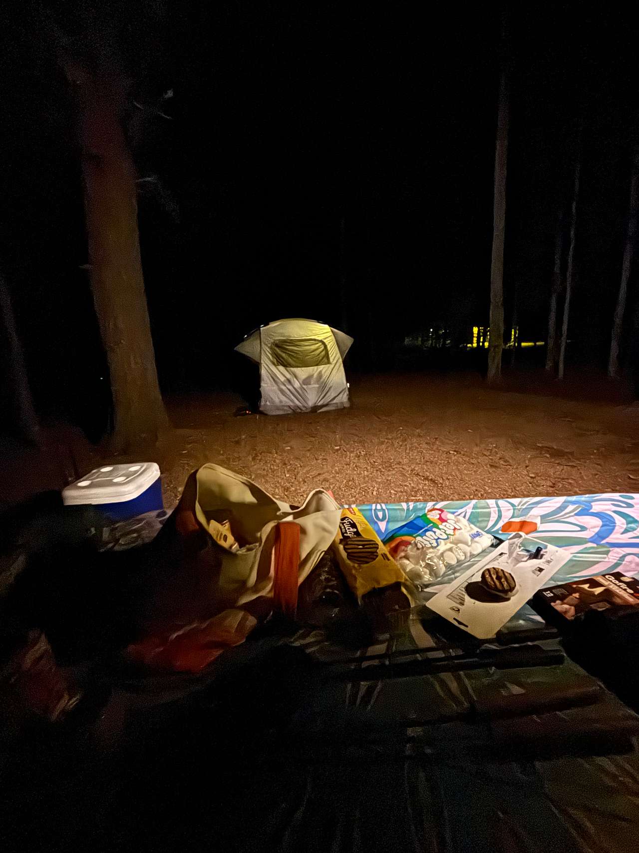 Picture of the site