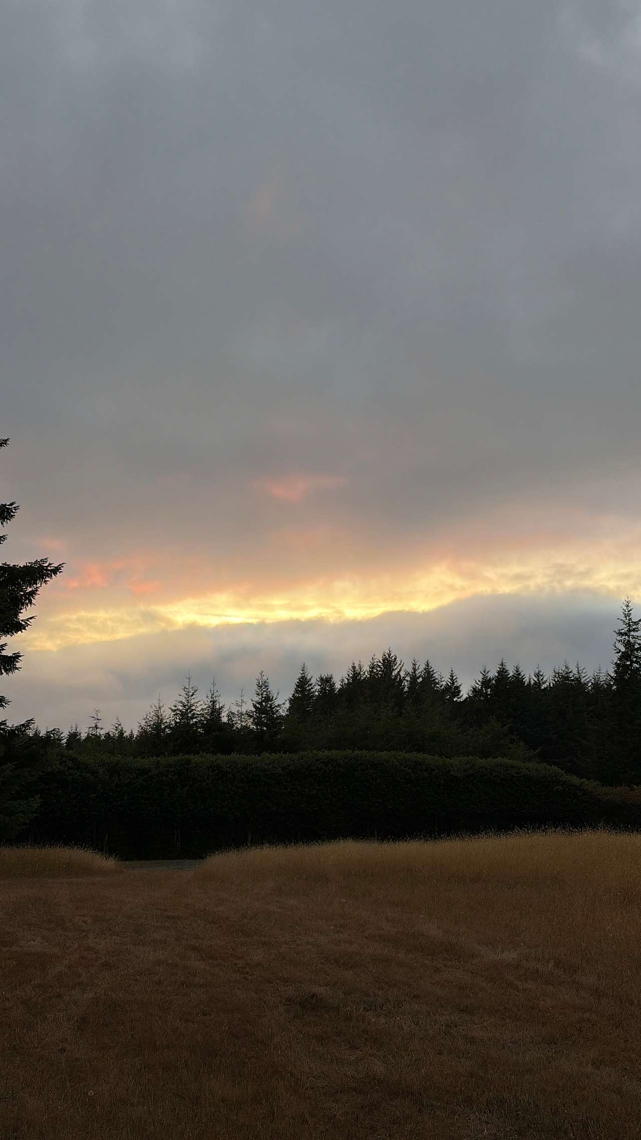 Cranberry Overlook