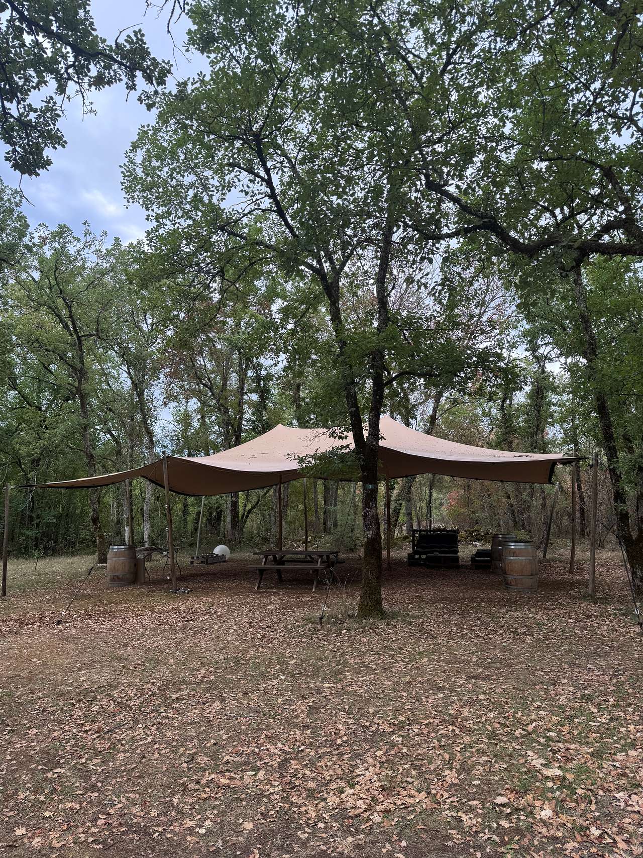 Communal area