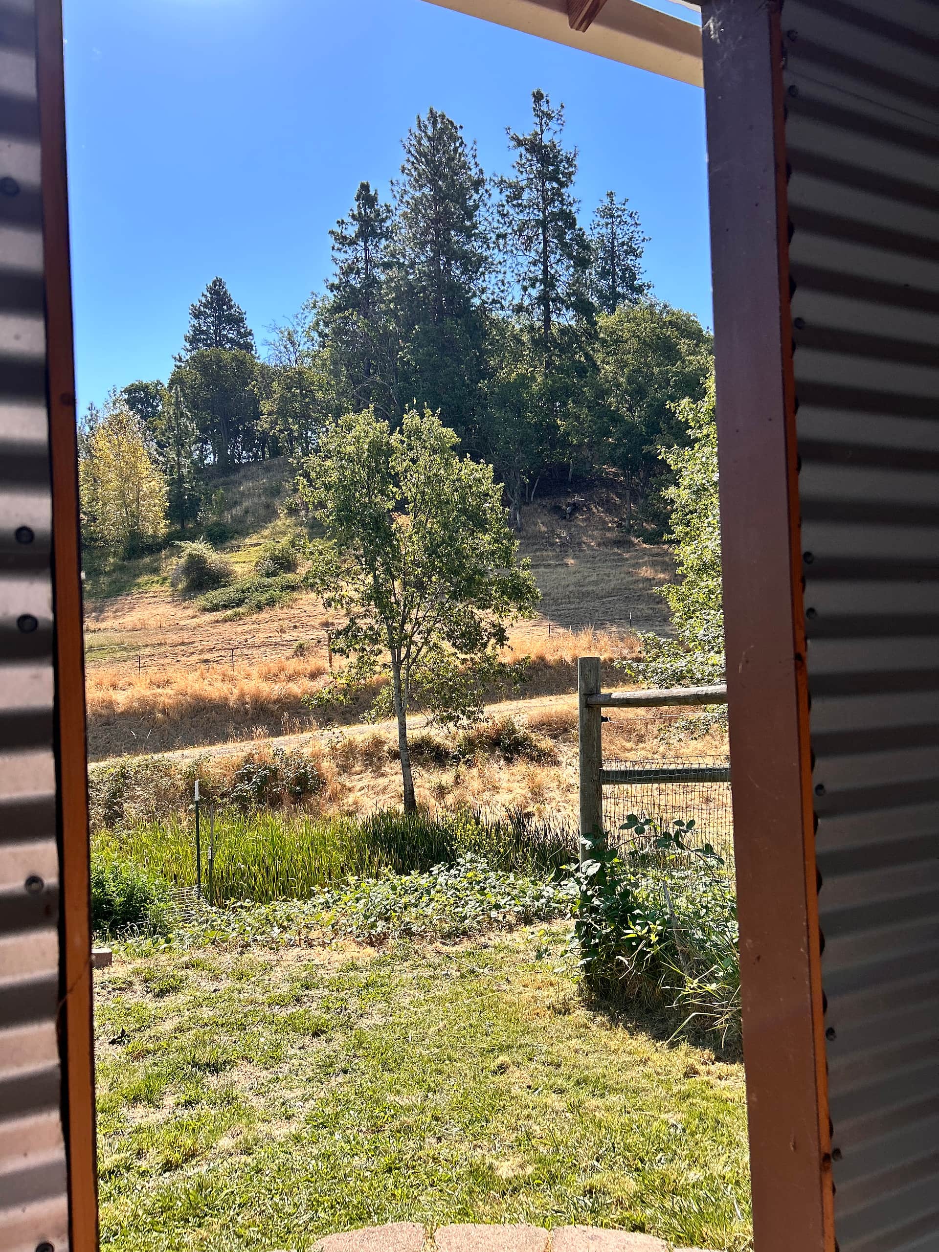 View from the bathroom