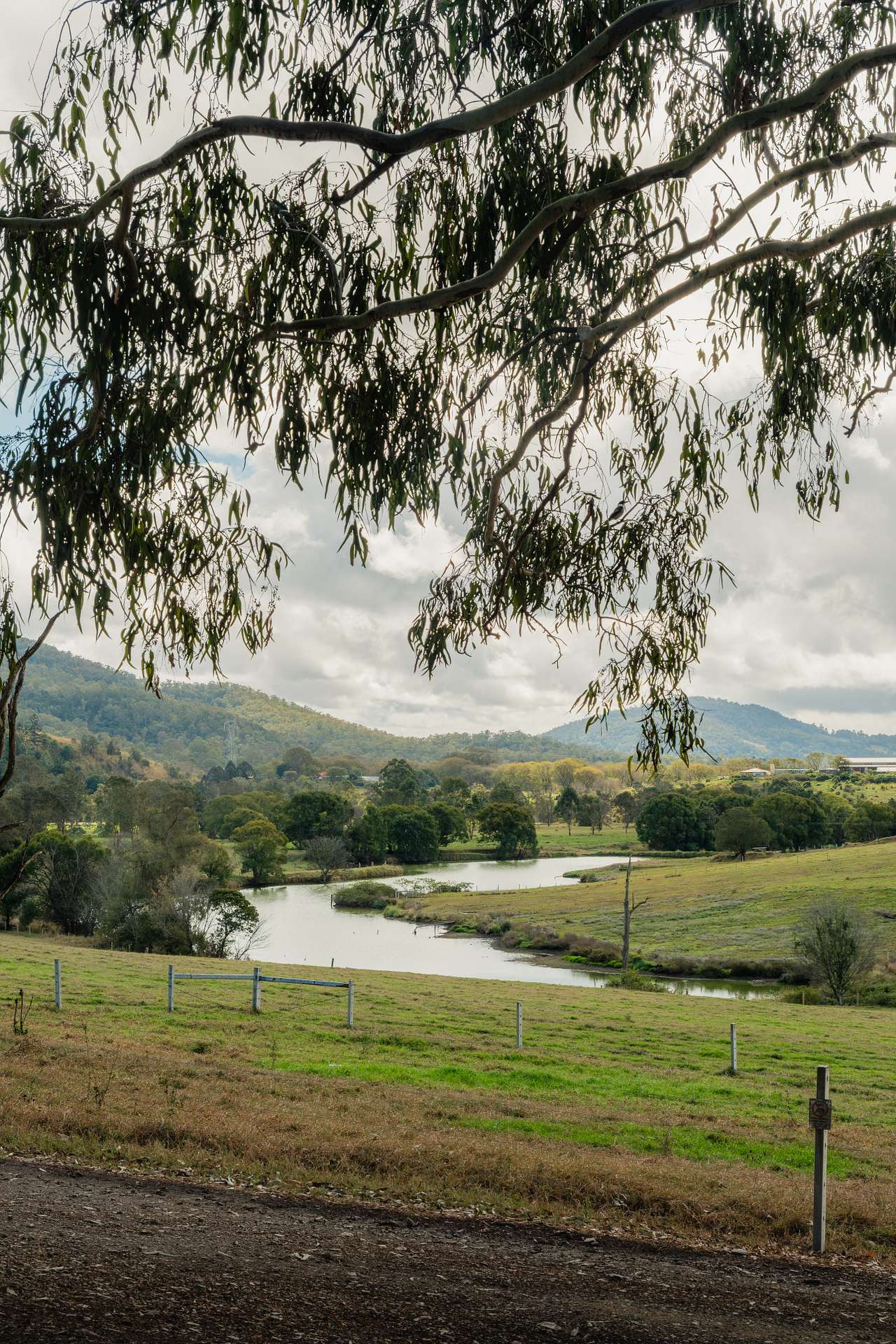 Kenilworth Camping