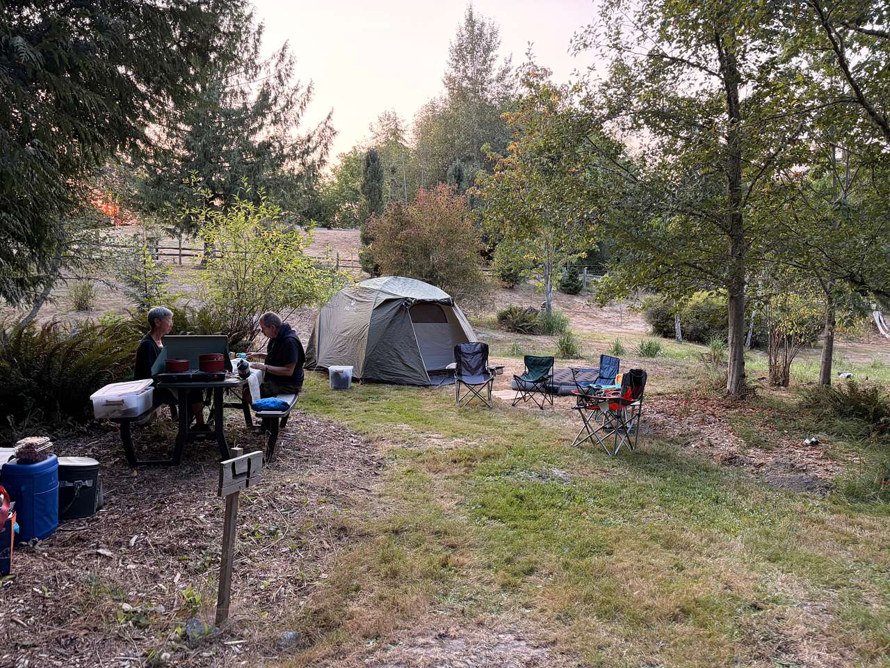 Picture of the site