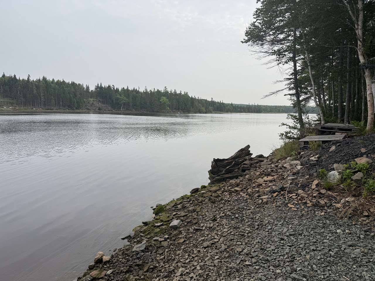 Where River Eagles Soar