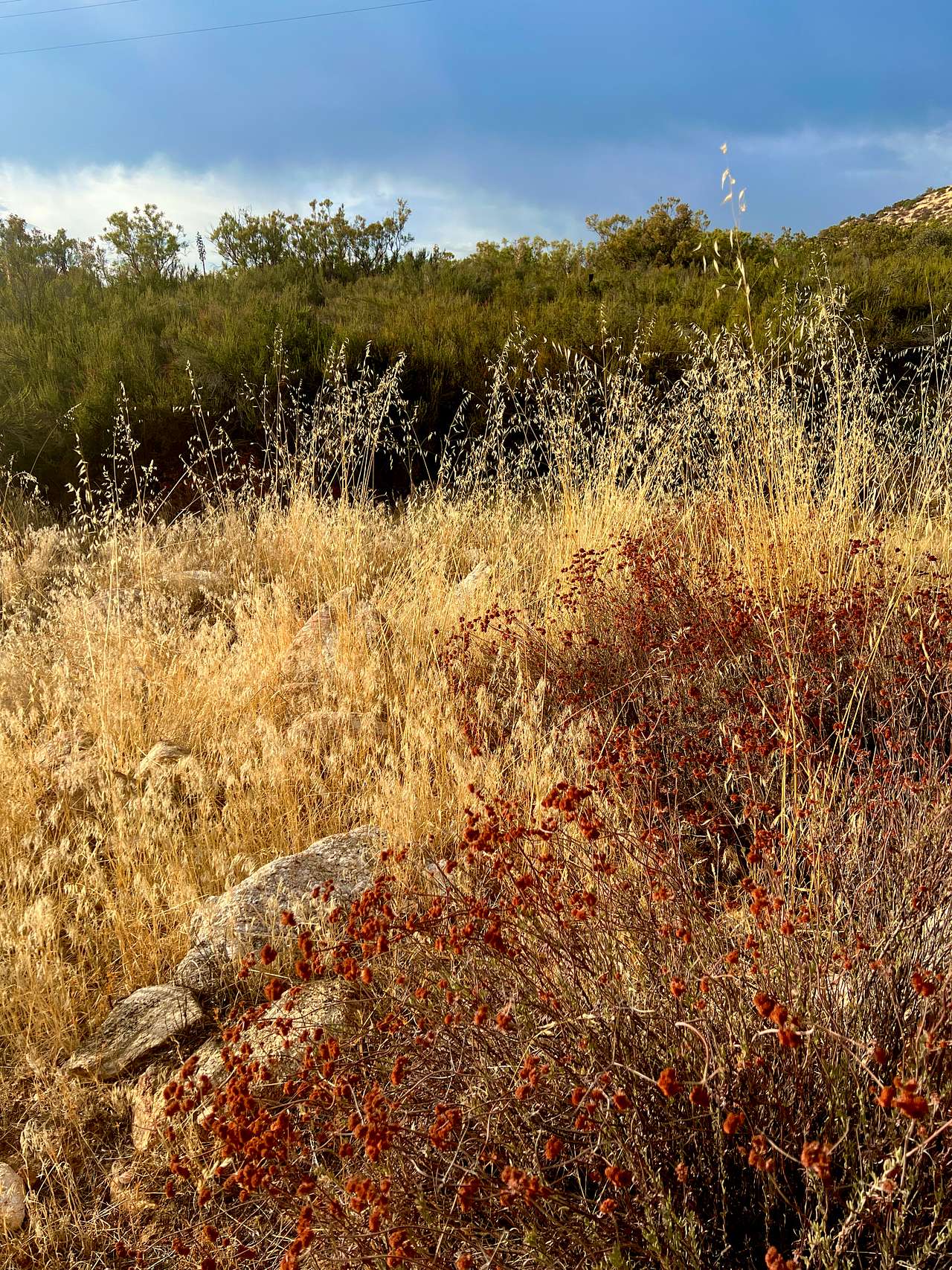 Manzanita Village Retreat