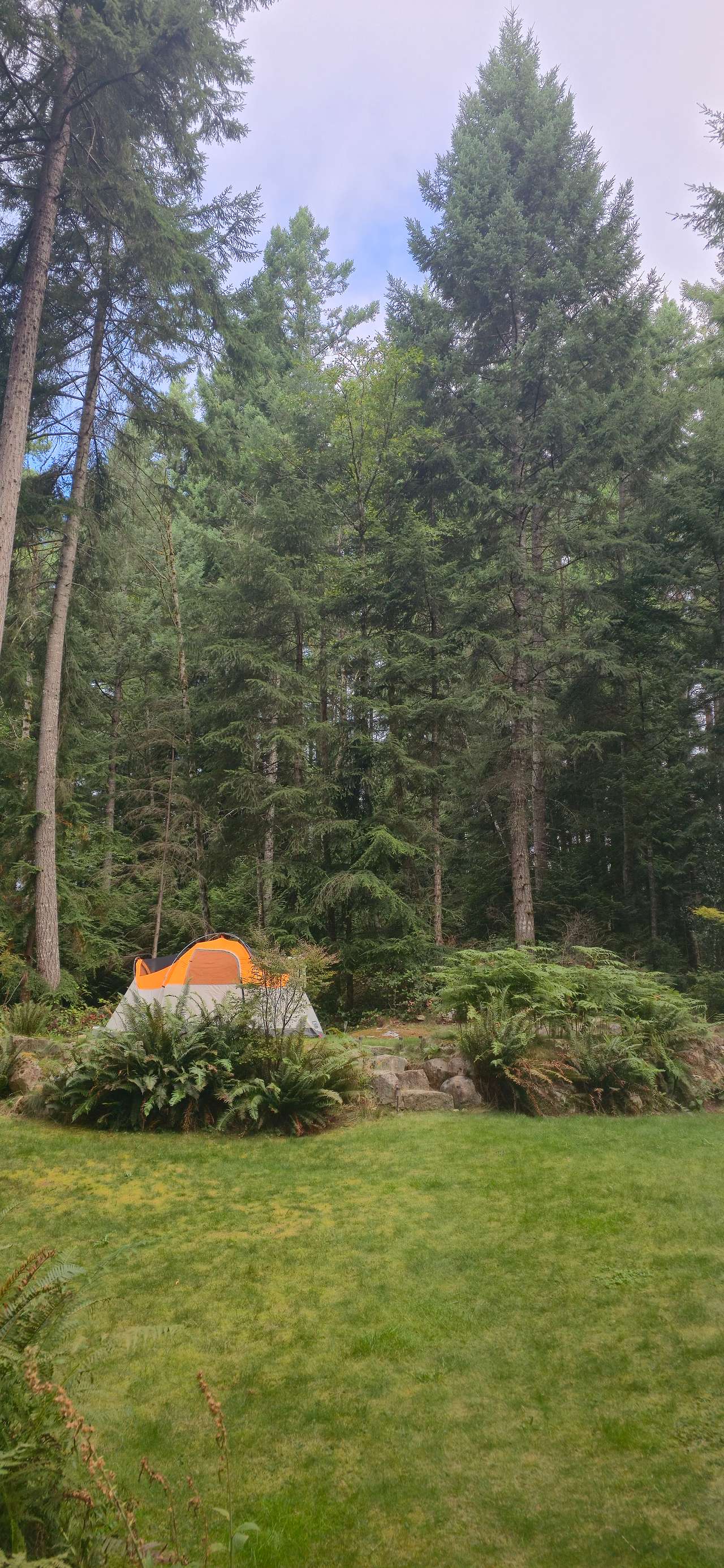 Forest Sanctuary Bell Tent