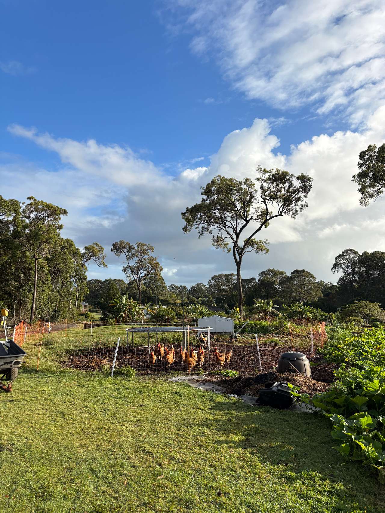 Virtue Farm K'Gari/Fraser Is view