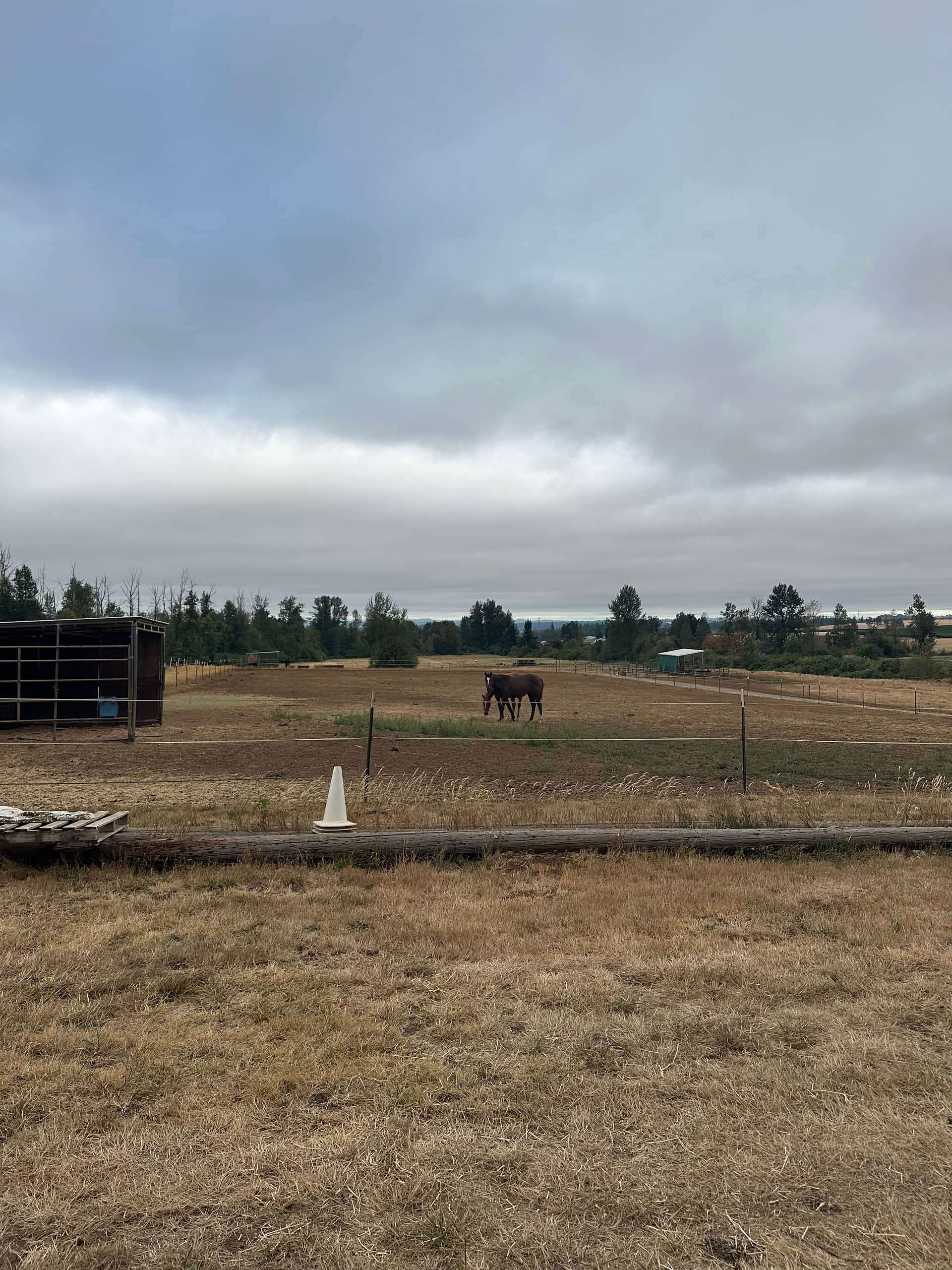 Ruah Ranch