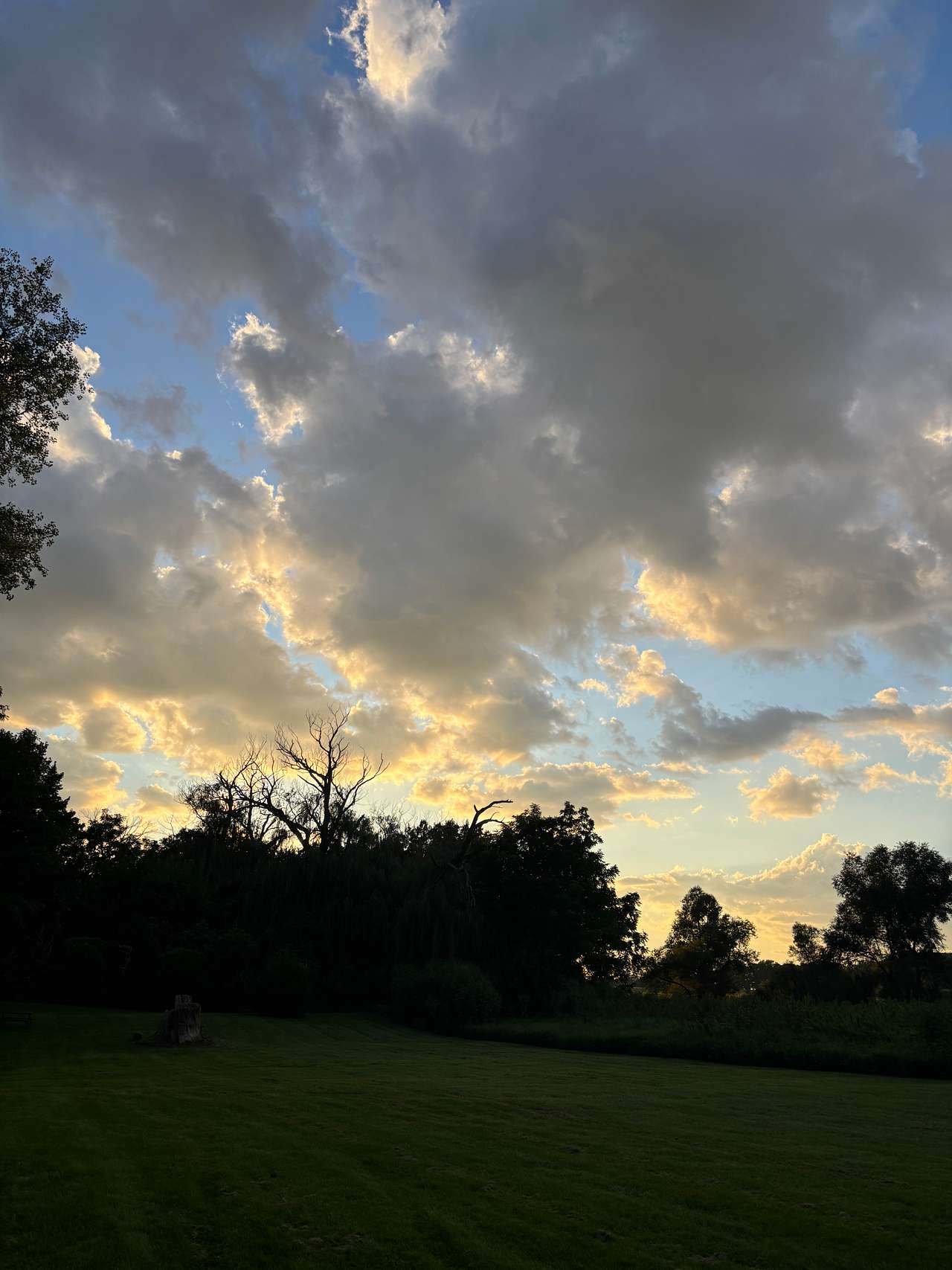 Escape to Nature