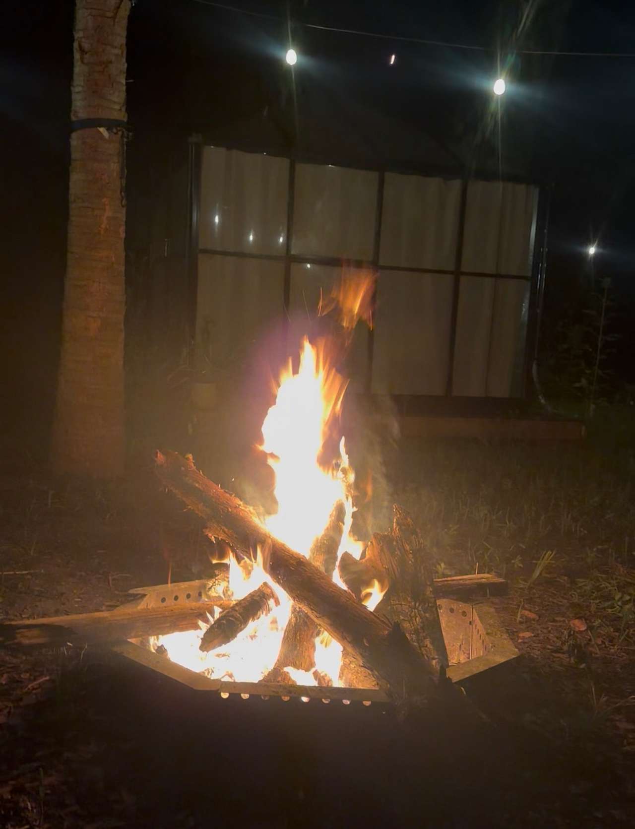 Campfire at night