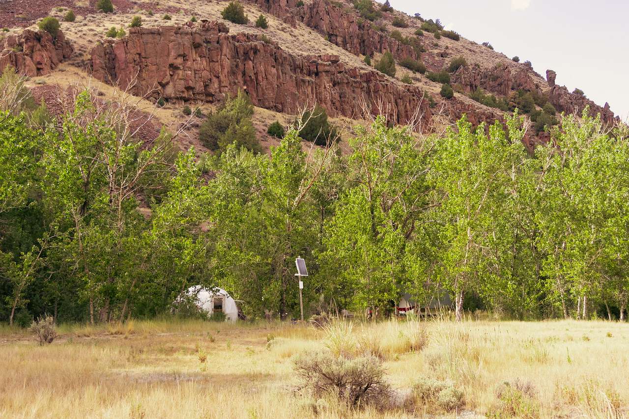 Picture of the site