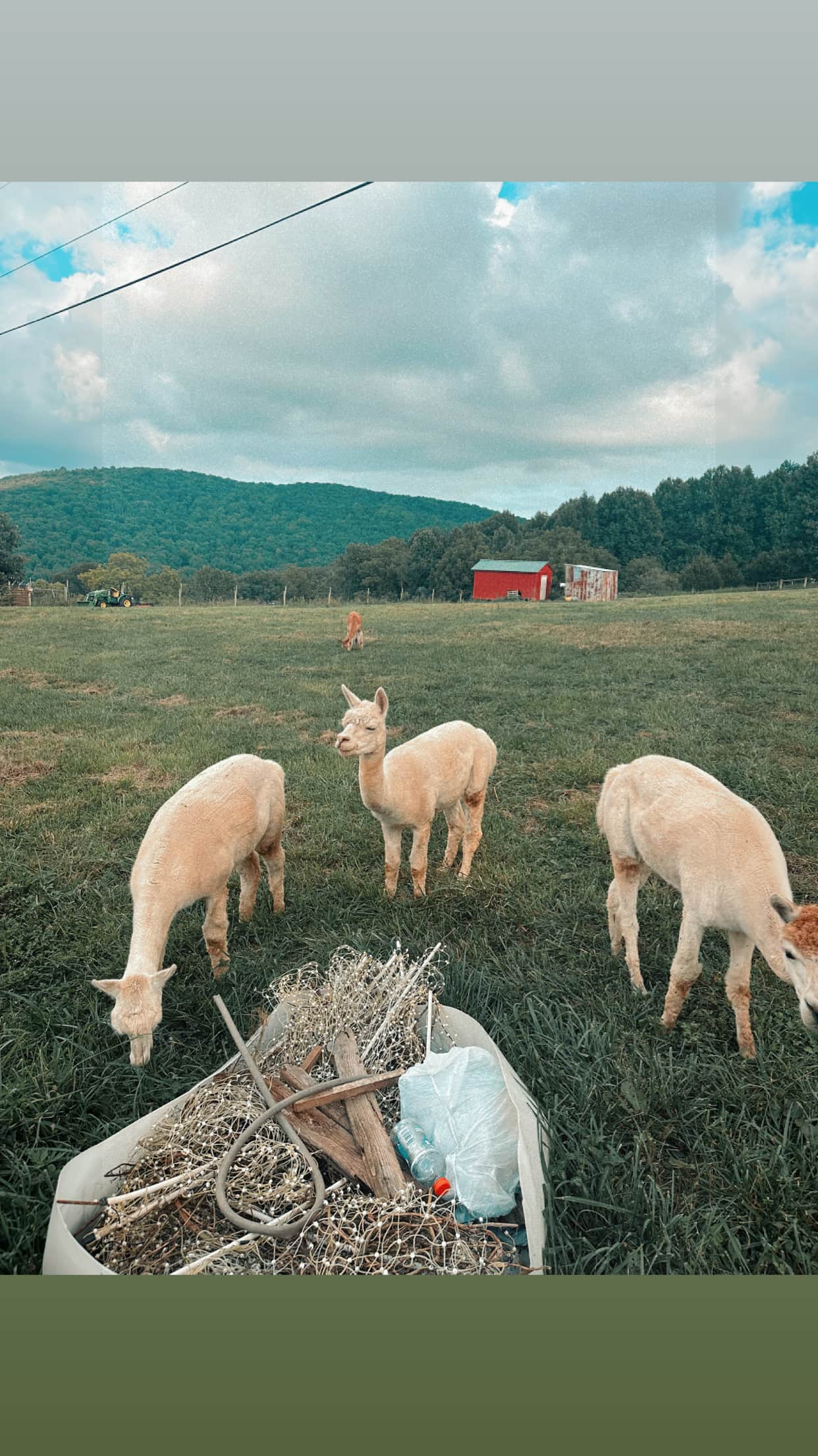 Beespoke Farms