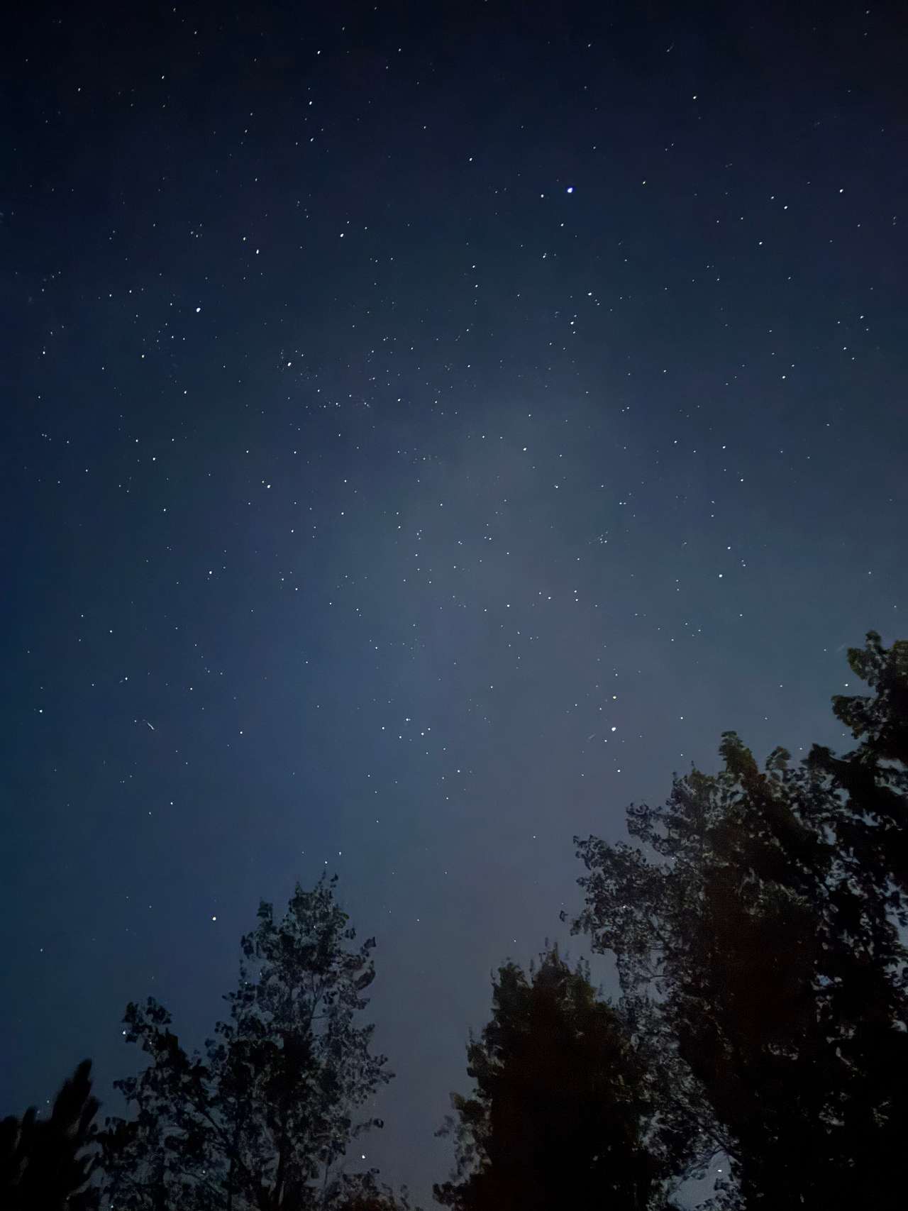 Welle's Campsite