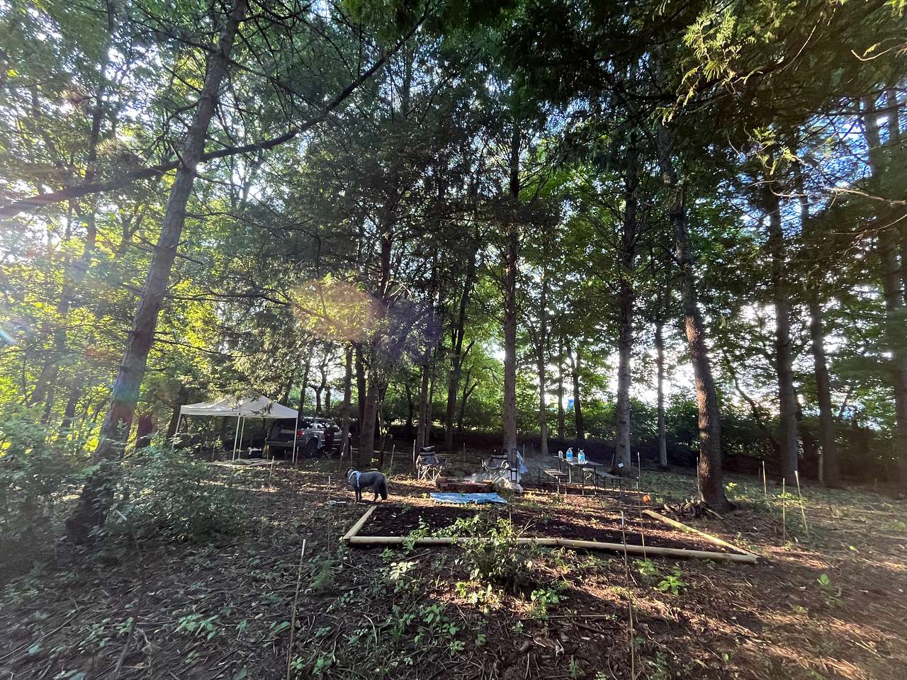 Picture of the site