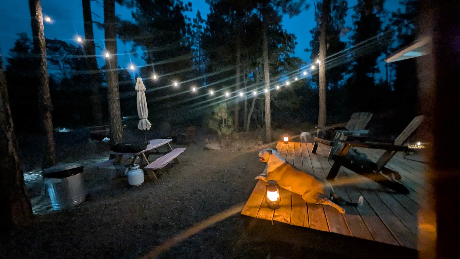 Starlit Glamping LLC