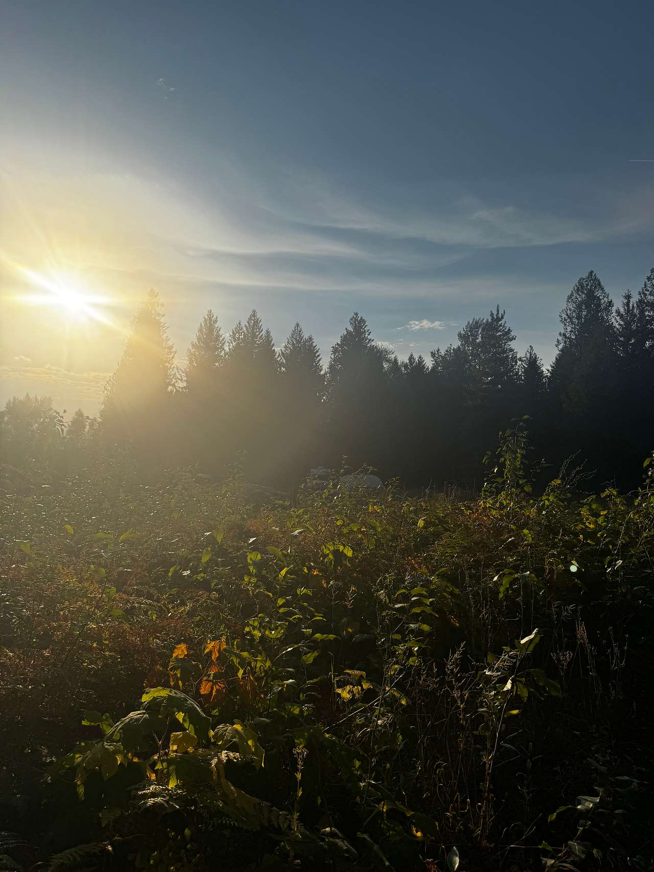 Olich Creek Farm