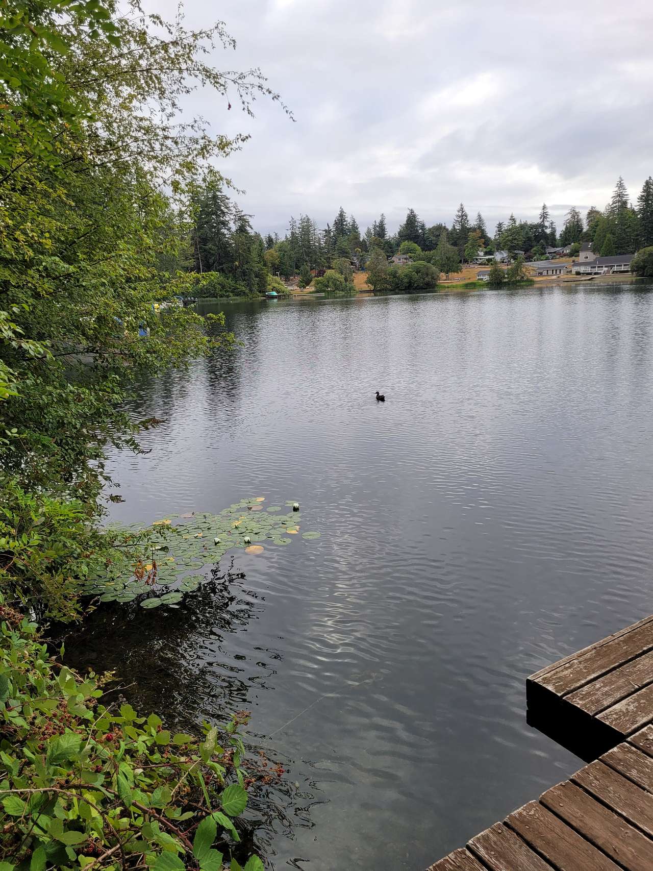 Pipe Lake Cabin